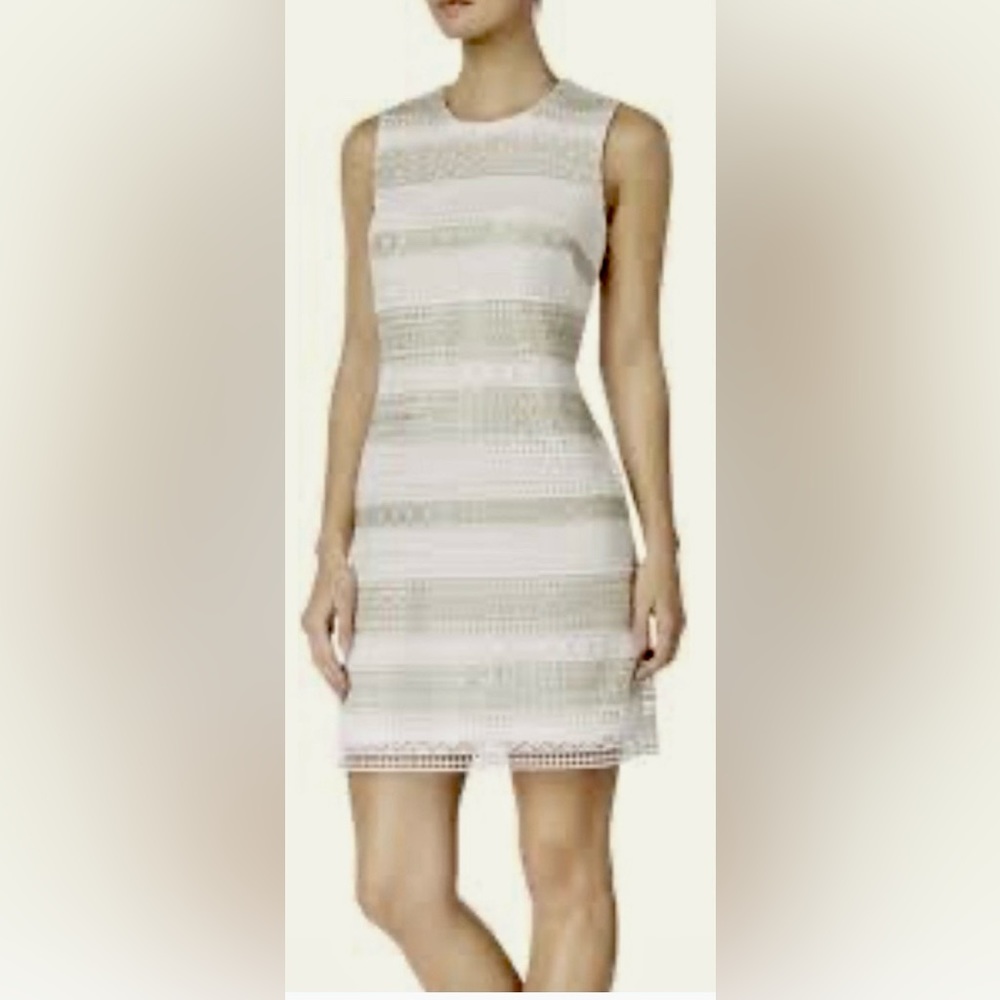 Calvin Klein Pearl White & Gold Stripe Embroidered Lace Sleeveless Sheath Dress